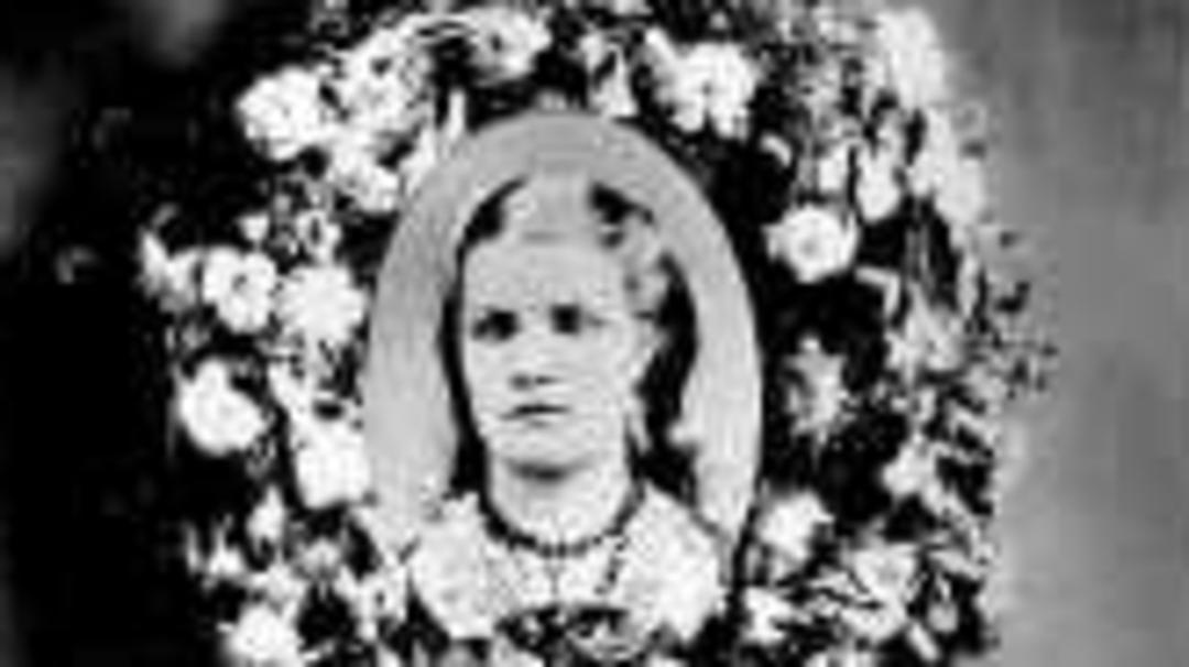Mary Elizabeth Hilton (1853 - 1903) Profile